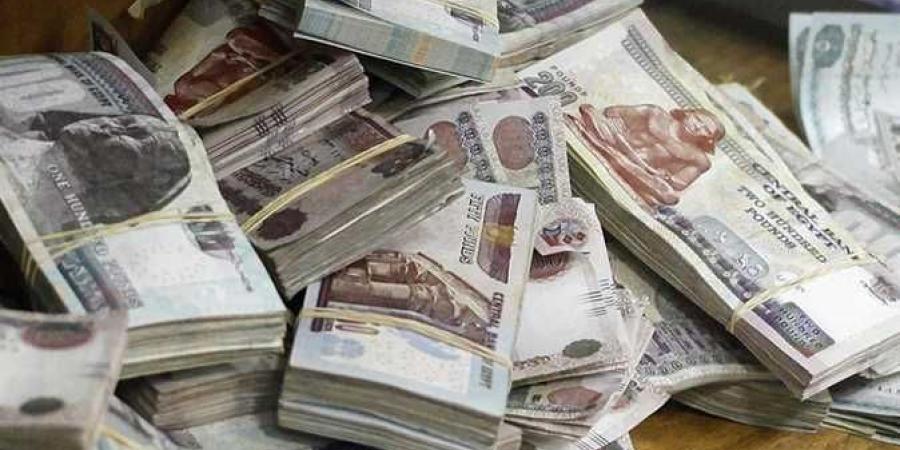 «هتكسب 3000 جنيه شهريًا».. شهادة جديدة بعائد مفاجأة من البنك الأهلي